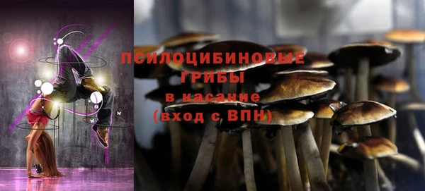 трава Аркадак