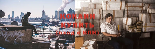 трава Аркадак