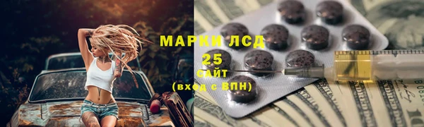 ГАЛЛЮЦИНОГЕННЫЕ ГРИБЫ Баксан