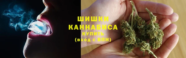 трава Аркадак