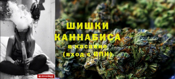 трава Аркадак