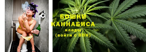 скорость Бикин