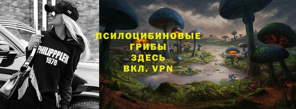 ГАЛЛЮЦИНОГЕННЫЕ ГРИБЫ Баксан