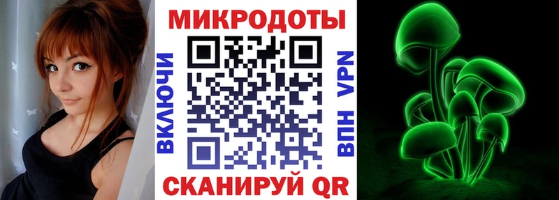 Галлюциногенные грибы Psilocybine cubensis  наркота  Буй 