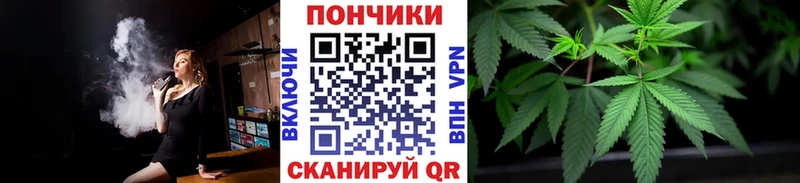 Конопля ГИДРОПОН  купить наркотик  Буй 